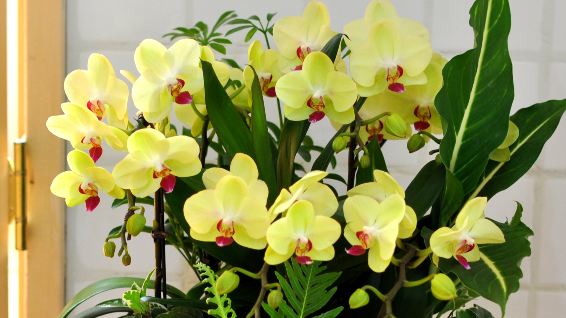 플라워119 플로럴 디자인